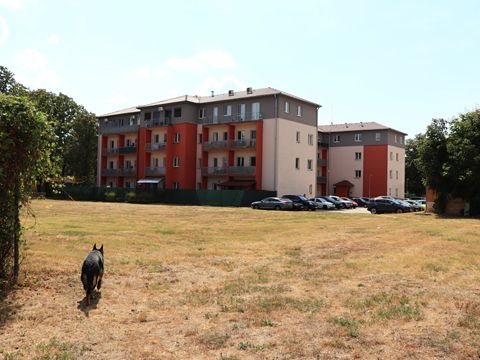 Foto 31
